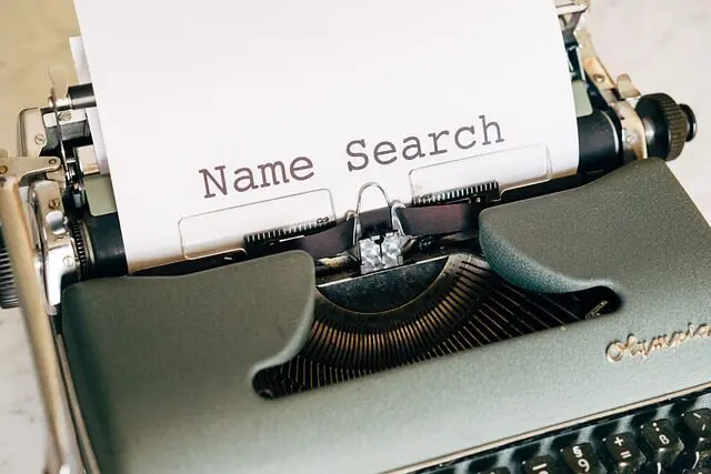 domain name search tools